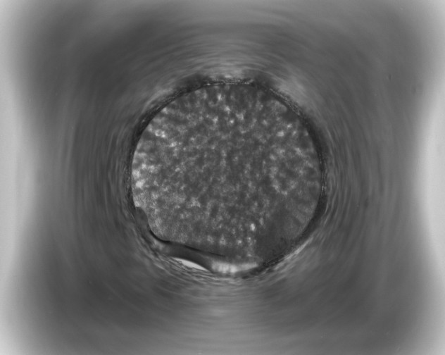 X0000084571297200703161715
