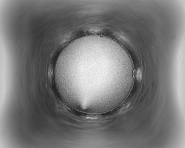 X0000084571299200703161715