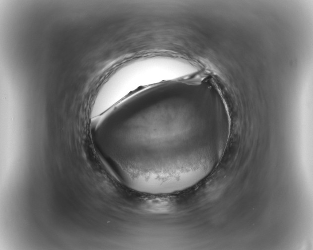 X0000084571303200703161715