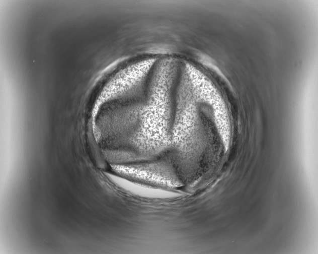 X0000084571304200703161715