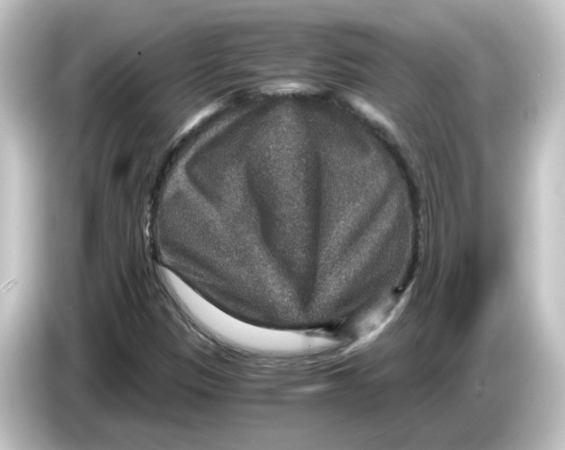 X0000084571305200703161715