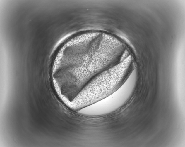 X0000084571312200703161715