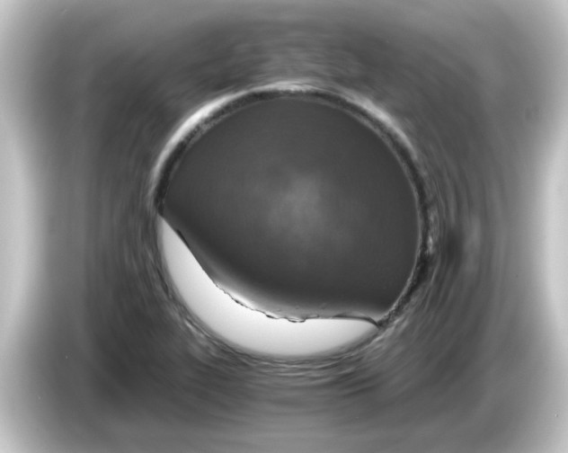X0000084571319200703161715
