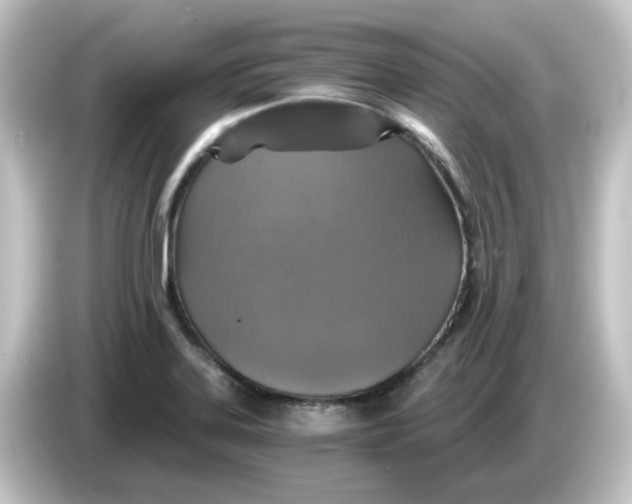 X0000084571323200703161715