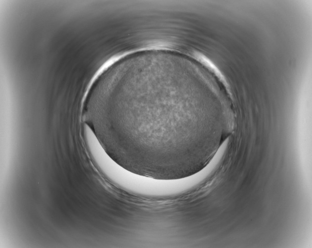 X0000084571324200703161715