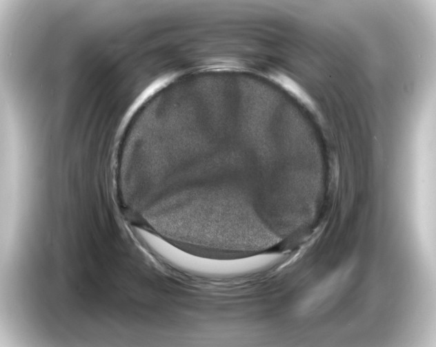 X0000084571325200703161715