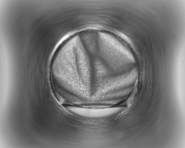 X0000084571326200703161715