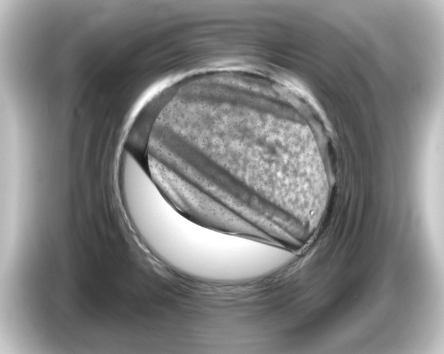 X0000084571328200703161715