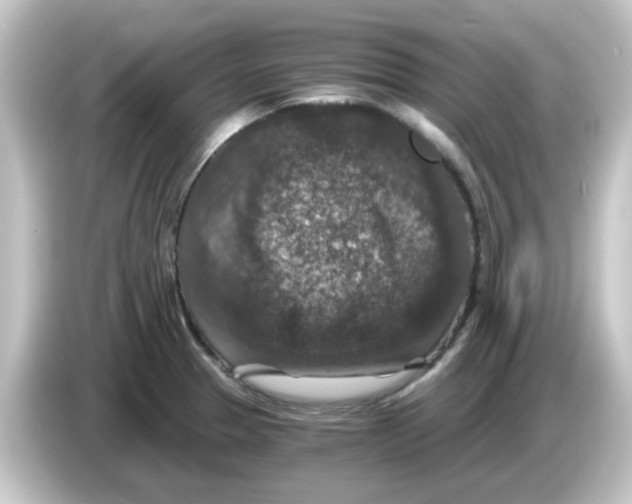 X0000084571329200703161715