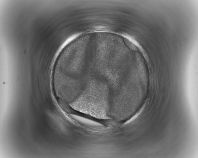X0000084571333200703161715
