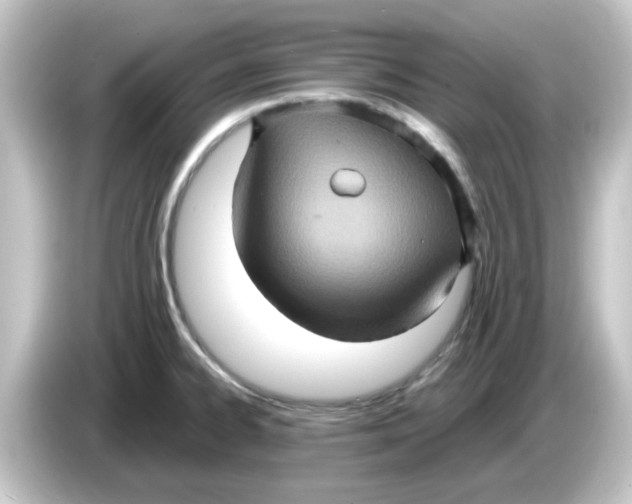 X0000084571334200703161715