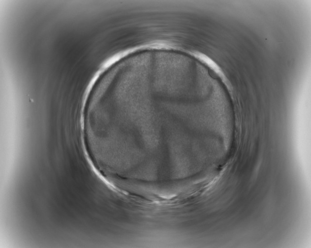 X0000084571335200703161715