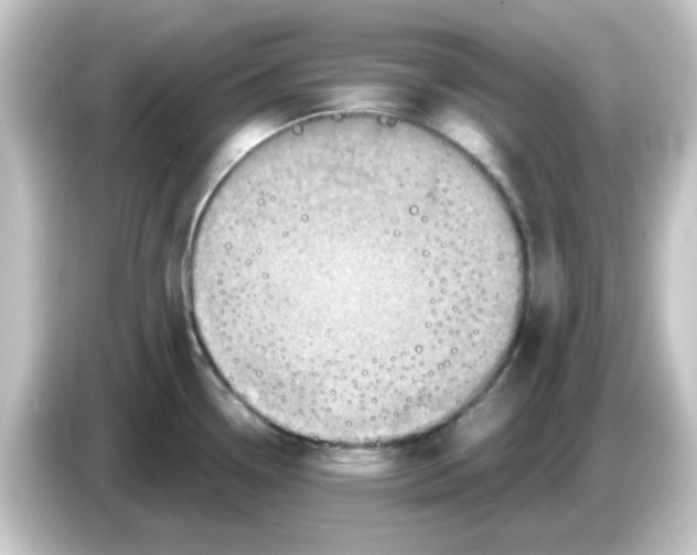 X0000084571338200703161715