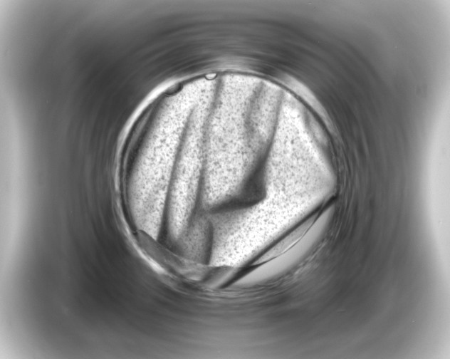 X0000084571339200703161715