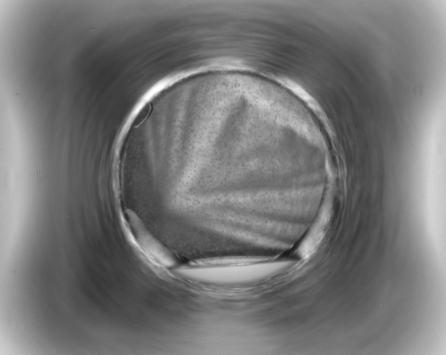 X0000084571342200703161715