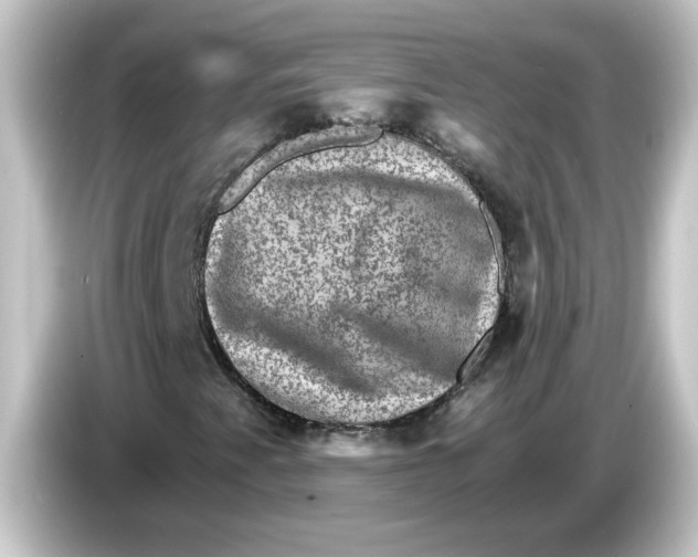 X0000084571345200703161715