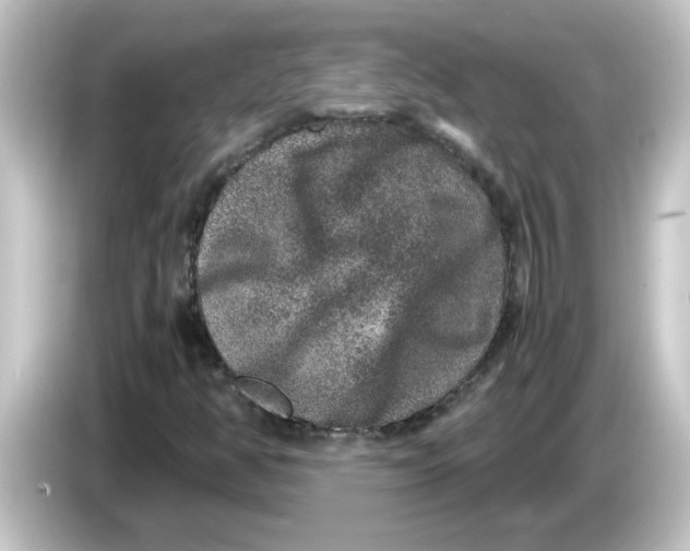 X0000084571350200703161715
