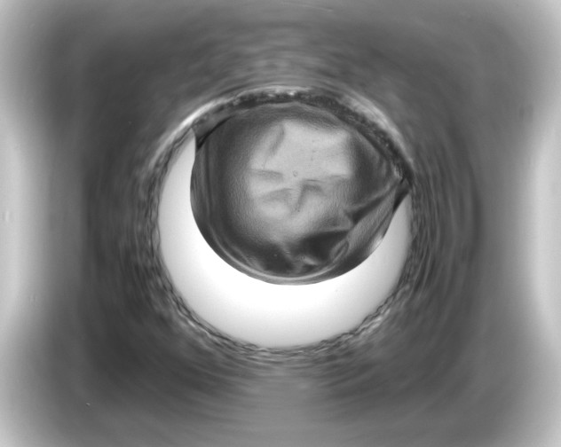 X0000084571352200703161715