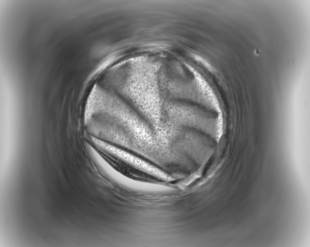 X0000084571354200703161715