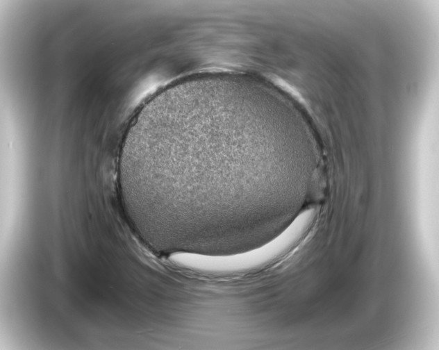 X0000084571355200703161715