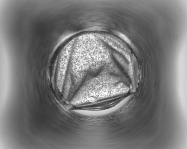 X0000084571356200703161715