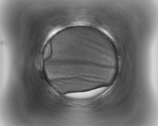 X0000084571358200703161715