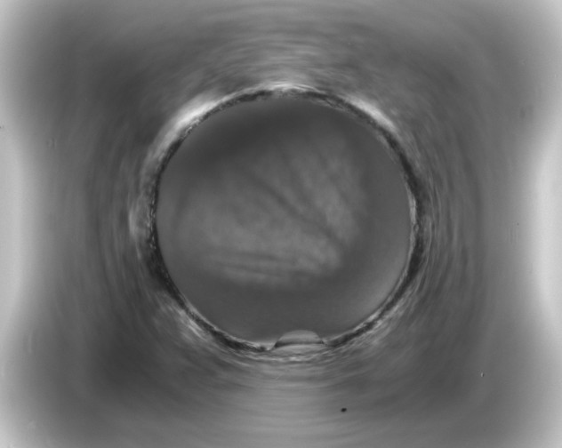 X0000084571359200703161715