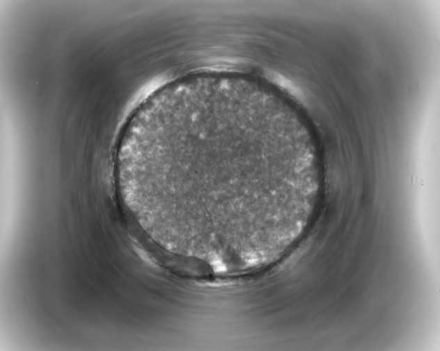 X0000084571362200703161715