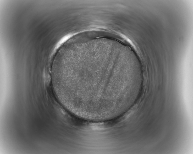 X0000084571363200703161715