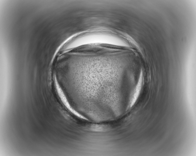 X0000084571364200703161715