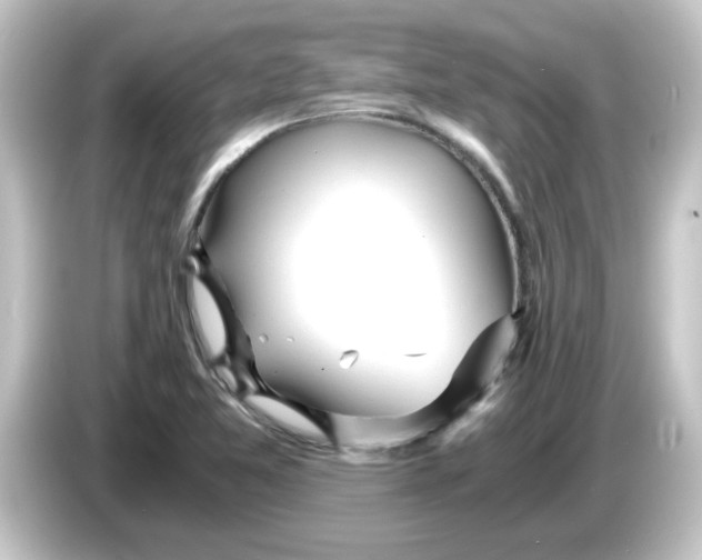 X0000084571365200703161714