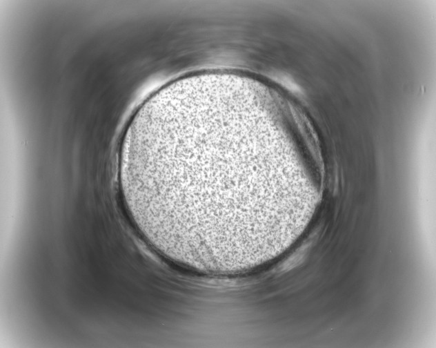 X0000084571366200703161714
