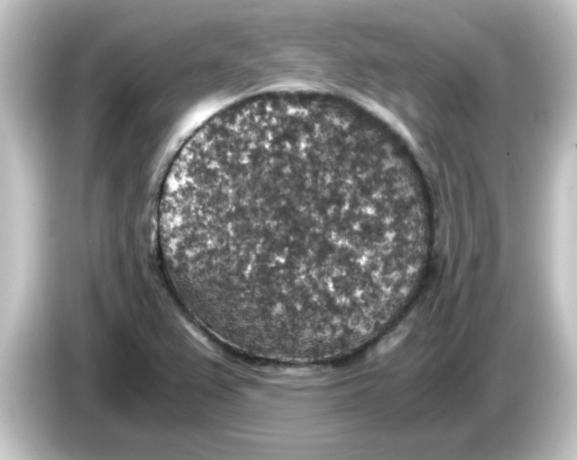 X0000084571367200703161714