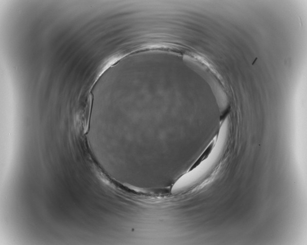 X0000084571369200703161714