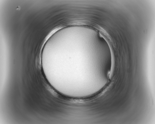 X0000084571370200703161714