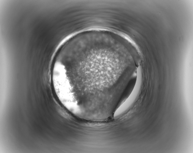 X0000084571372200703161714
