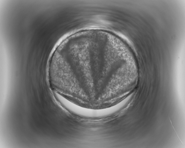 X0000084571374200703161714