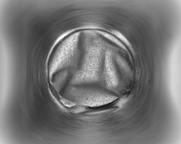 X0000084571380200703161714