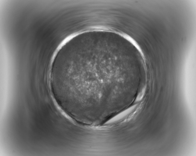 X0000084571381200703161714