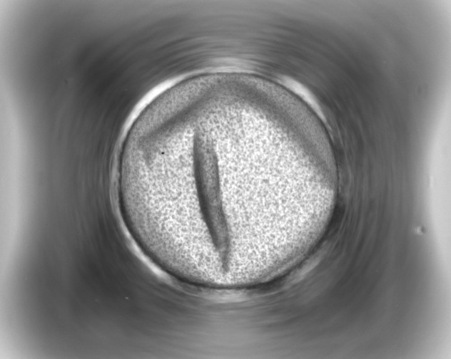 X0000084571387200703161714