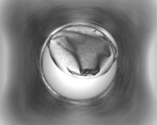 X0000084571388200703161714