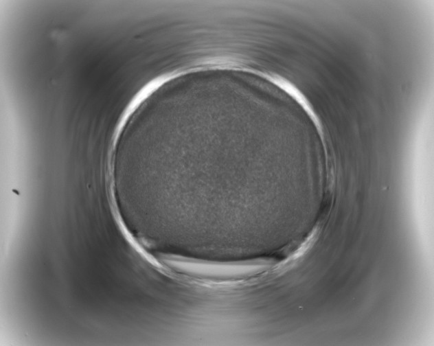 X0000084571389200703161714