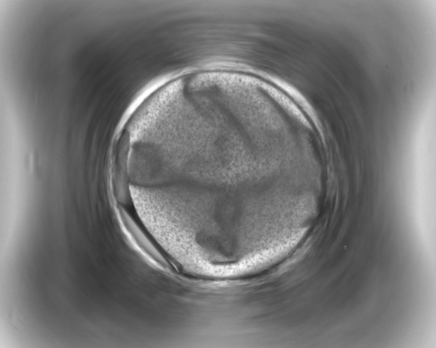 X0000084571390200703161714