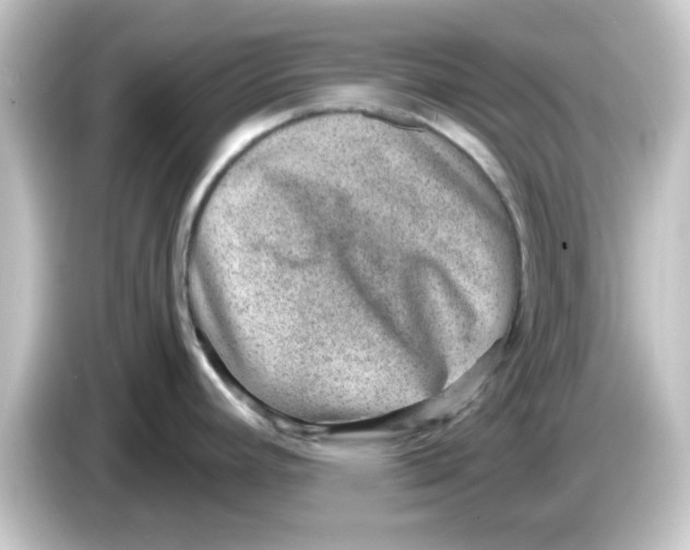 X0000084571392200703161714