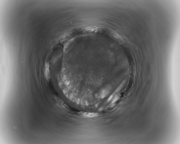 X0000084571394200703161714