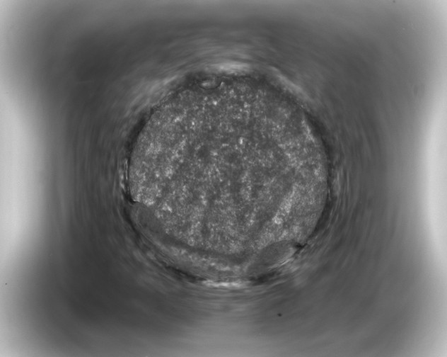 X0000084571397200703161714