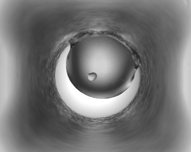 X0000084571398200703161714