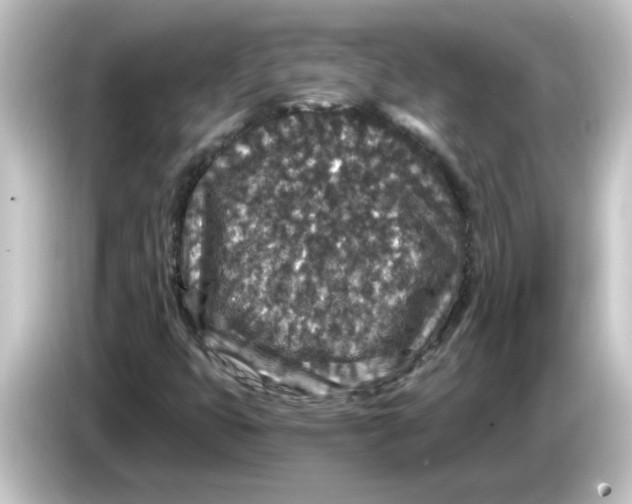 X0000084571399200703161714