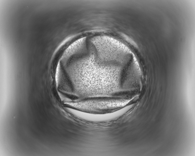 X0000084571400200703161714