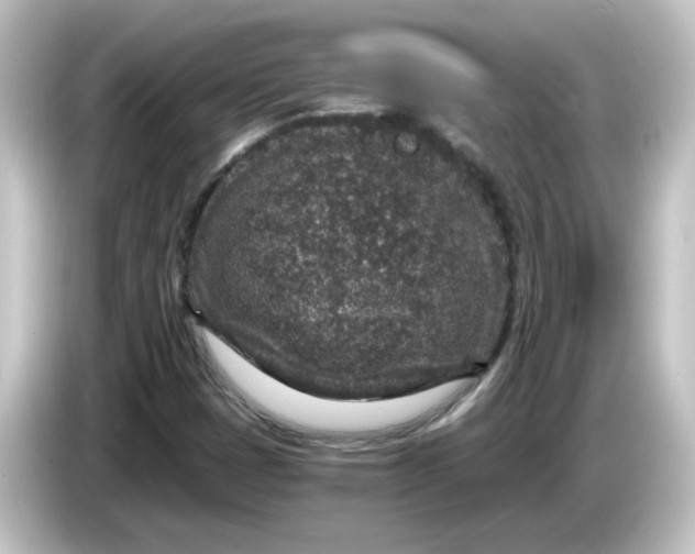 X0000084571401200703161714